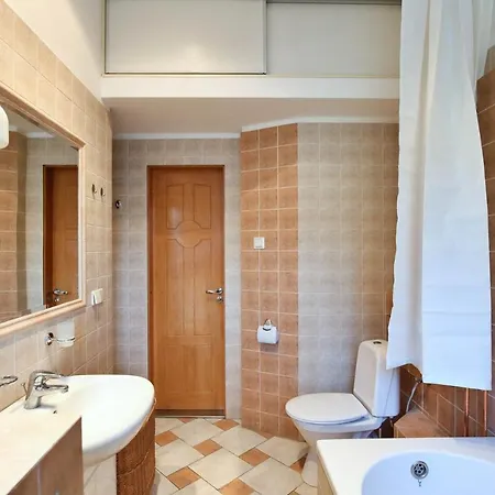 Apartament In Old Vilnius